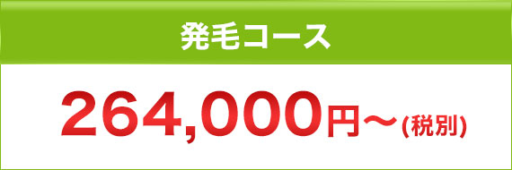 発毛コース 264,000円～